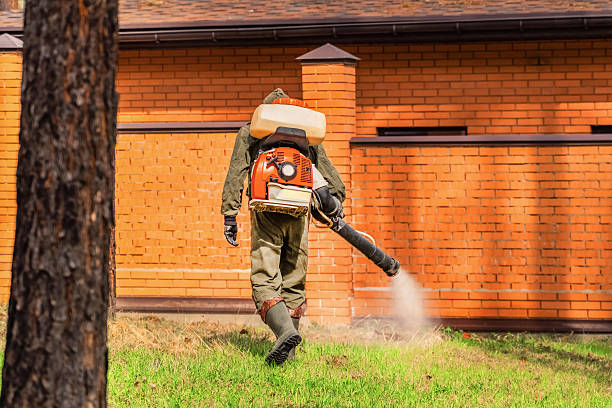 Bed Bug Clearance Verification and Documentation in Horatio
